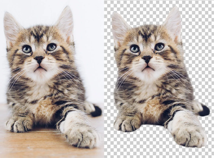 Images-edits-Photo-masking-Services